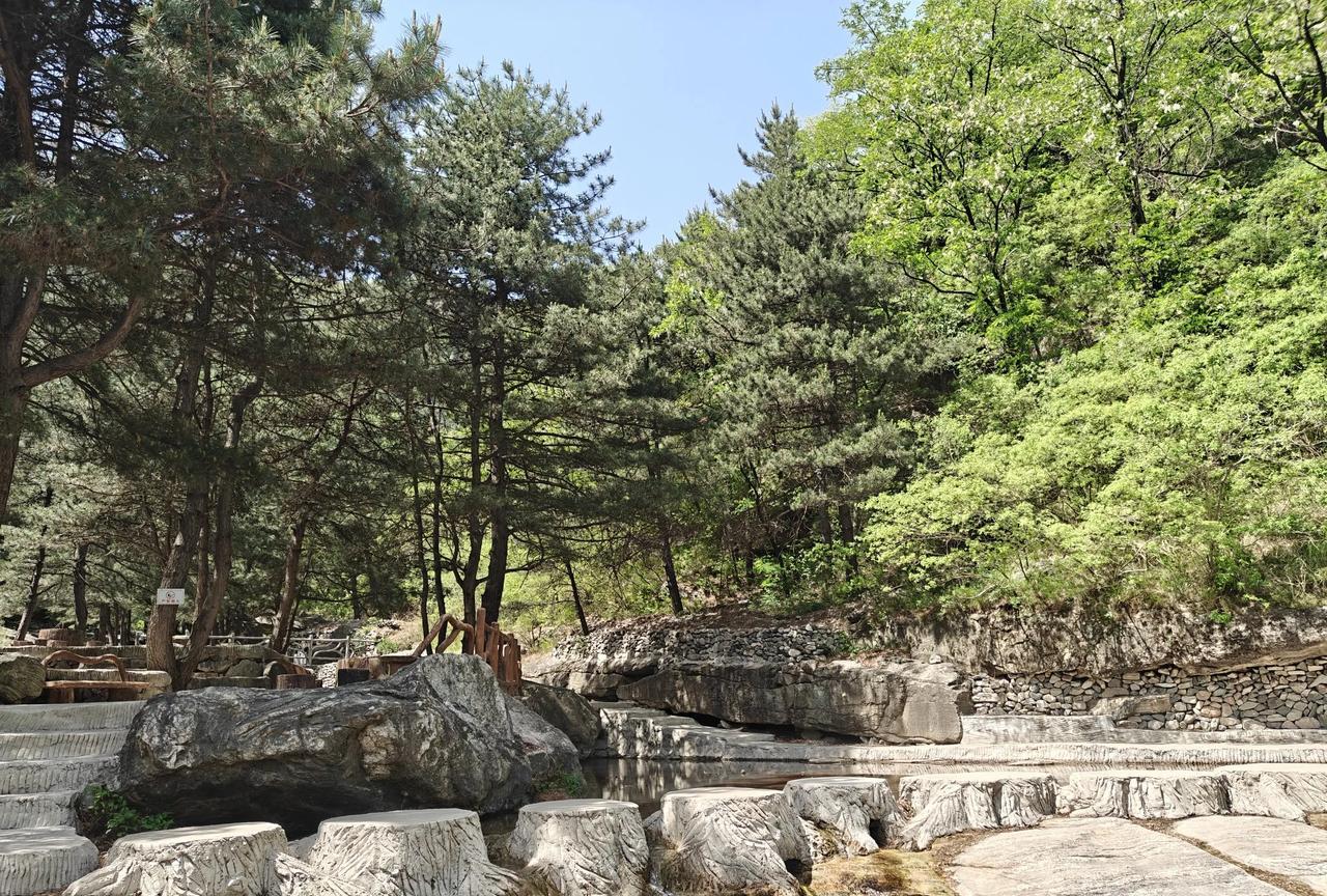 现在山区植被为什么那么好？夏天天气炎热，而太行山深山区却很凉爽。最近，我去了阜平