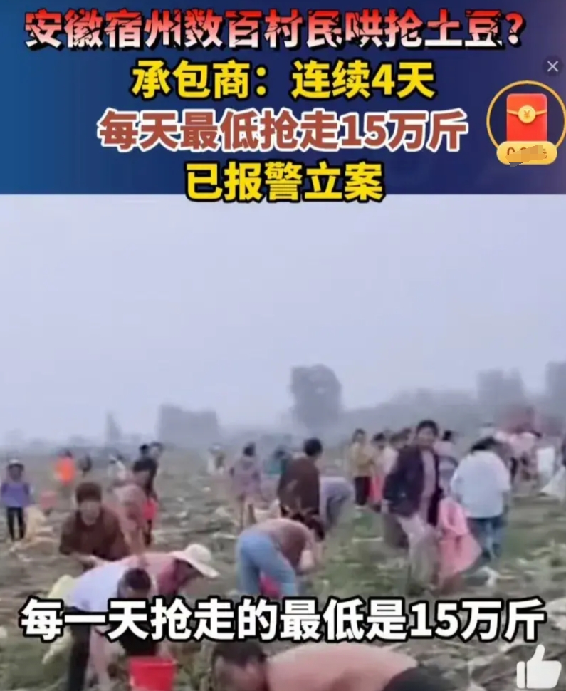 抢土豆肯定是不对，在过去我也会去抨击，但现在我会更客观的看待问题，很多年前就发生