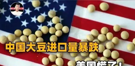 美国主动找我们做生意？
美国求咱们啦？
请求我们买他们的大豆和农产品
不然那么多