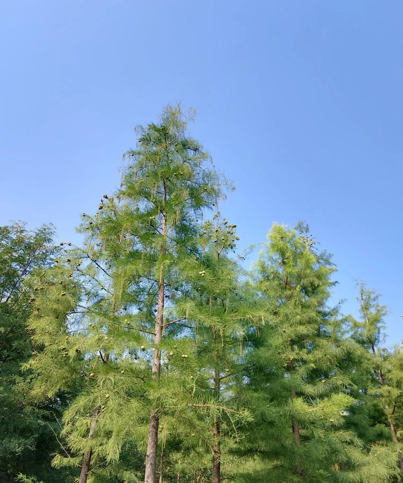 一、二年级的孩子，培养好习惯太重要了！
邻居家妈妈在南京开服装店，每周回来一次，
