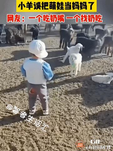 哈哈哈哈，这个小奶娃自我保护意识杠杠的啊，情急之下，还知道用手护住“小鸟”，太可