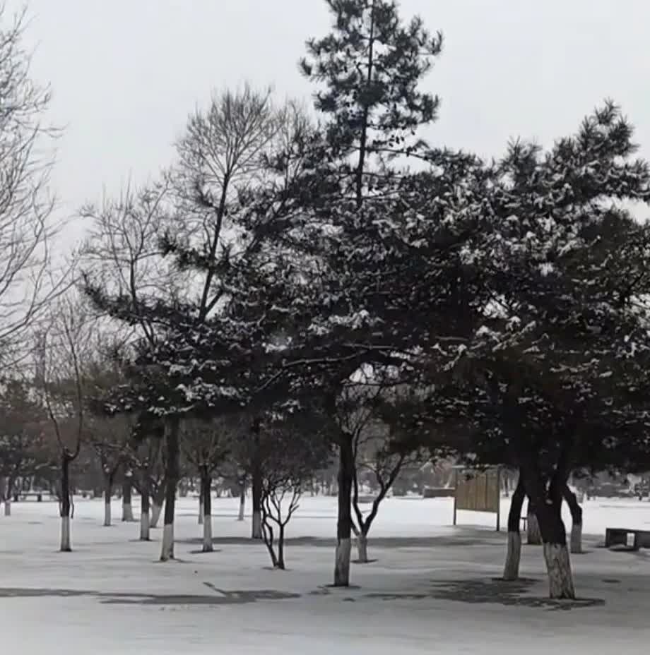 为什么有些同行莫名其妙的就捅郭先生一刀？
评书演员孙天啸揭开了背后的暗流涌动，