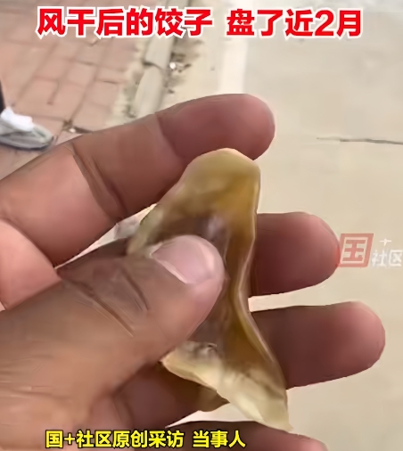 笑不活了！山东大哥把饺子盘成“玉化神器”，结局把人看傻…

最近被山东德州这位大
