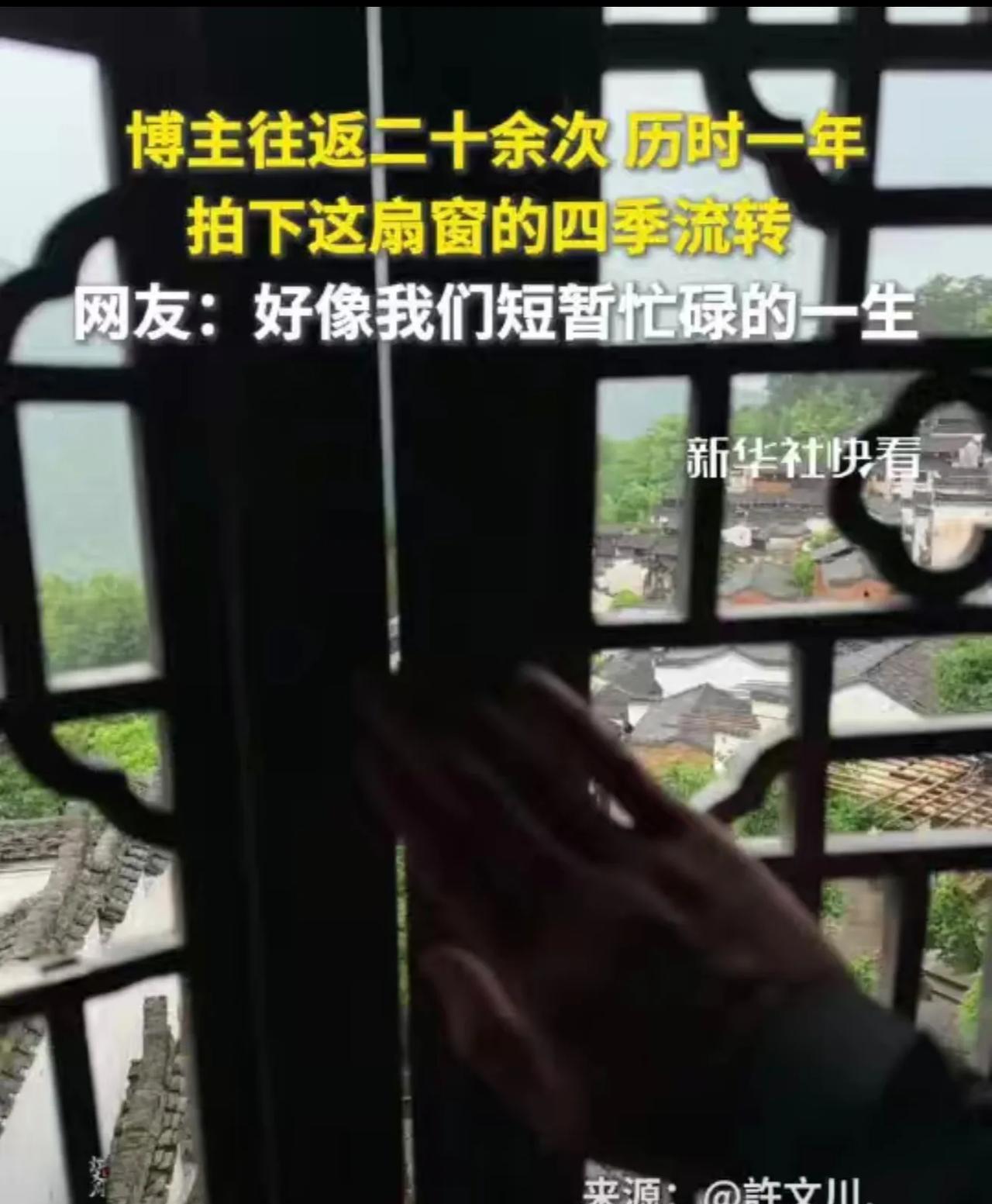博主往返二十余次、历时一年，拍下这扇窗的四季流转，网友：好像我们短暂忙碌的一生。