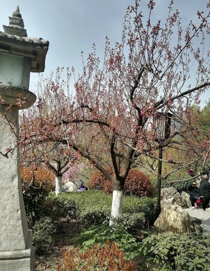 高分女生不用去卷计算机，电子信息这些专业了，今天知道一个更好的方向，后悔知道的晚