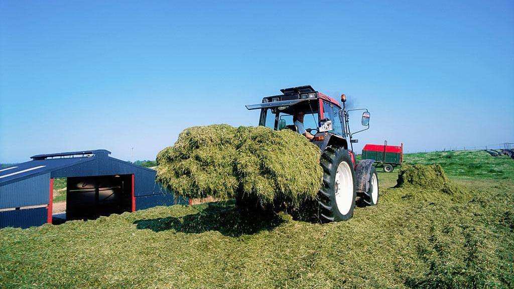 青贮饲料需要防霉剂吗？