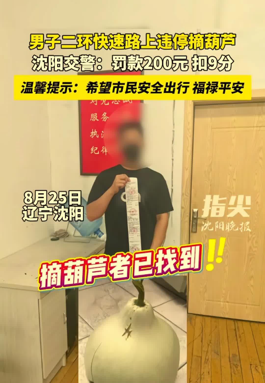 辽宁沈阳一男子，看到路边长个葫芦，于是半夜开车过去就把葫芦摘了，没想到给自己惹来