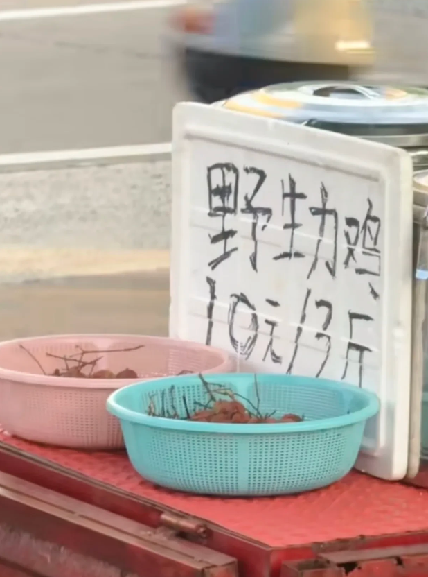 “野生力鸡”，什么鬼，凑近一看才发现，老板这是吃了没有文化的亏！