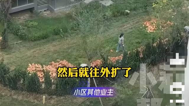 两千平公共绿地一夜成“私家园林”？业主愤怒维权