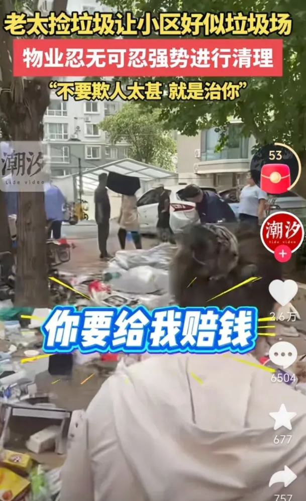 这或许就是交物业费的意义！

小区新搬进一个大妈，大妈像是发现新大陆，小区里所有