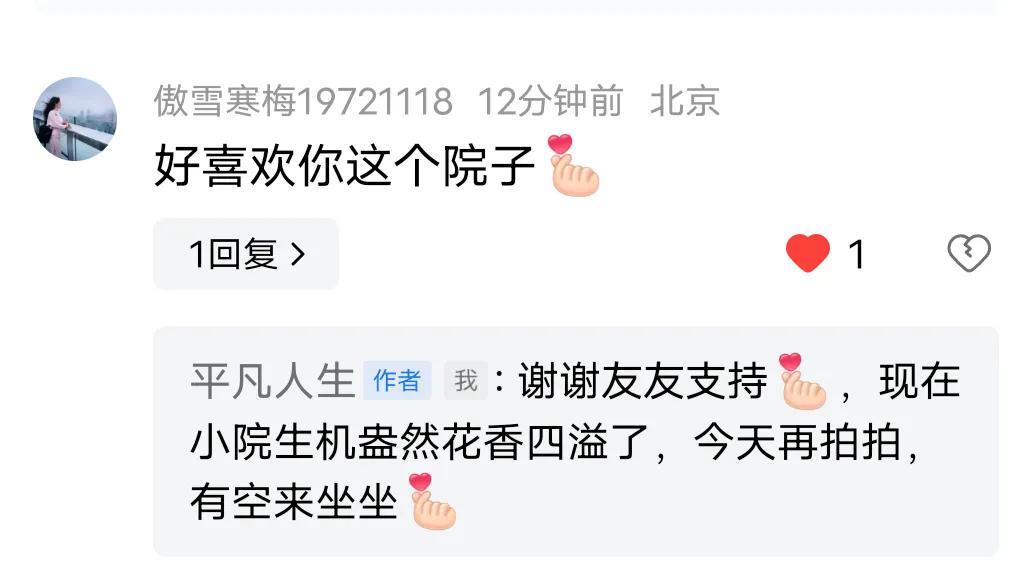 四月份，我拍的自家小院，北京的友友今天看到还说好喜欢这院子呢！
两个月过去了，我
