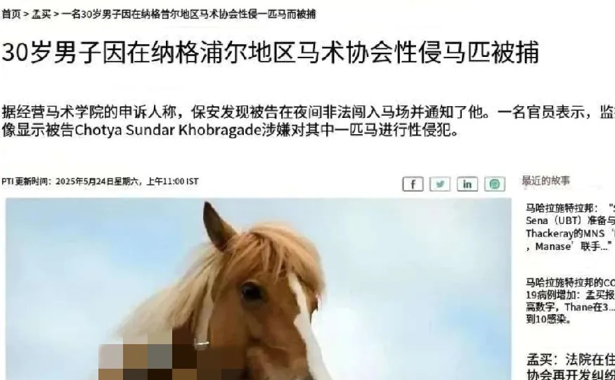 印度男子性侵马被抓











离谱！印度男子竟对马下手，监控全拍下！