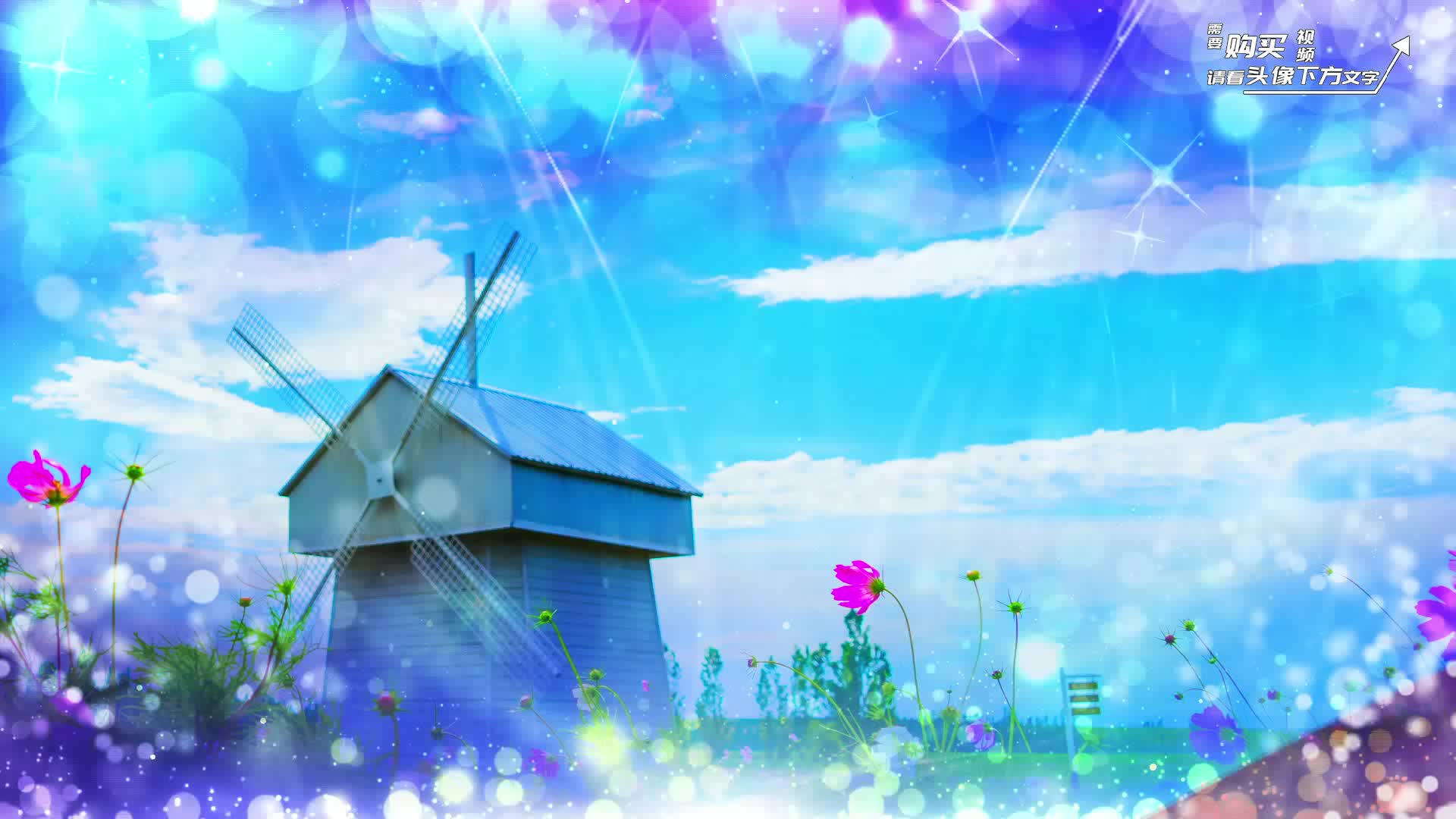 《阮春蕊闻圣宥》阮春蕊闻圣宥：她像是自言自语，又像是询问，只是没有人能给她答案。