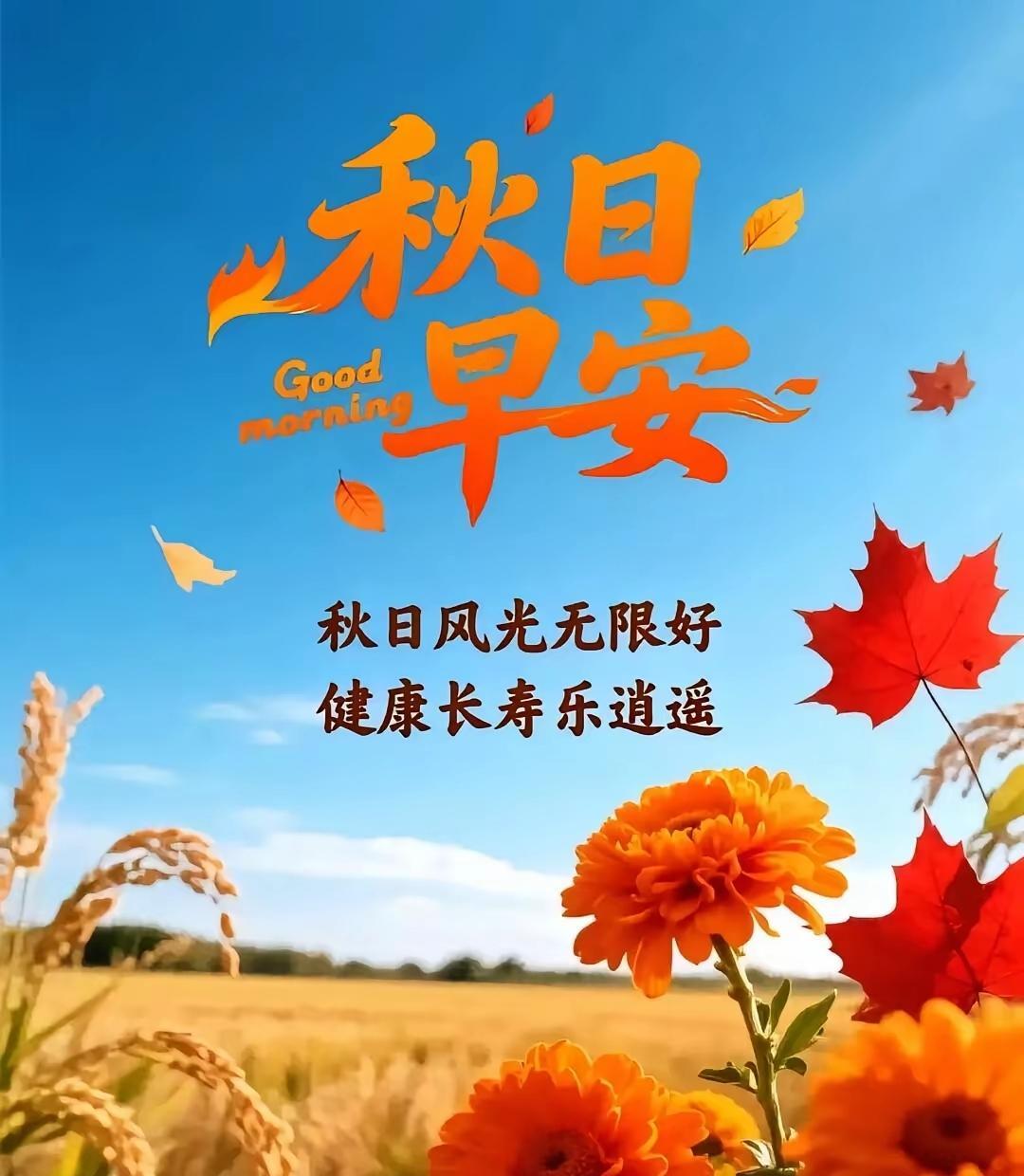 秋风习习伴桂香
杏叶缤纷渐变黄
柳枝飞舞细如丝
鸣声无力是秋蝉
[玫瑰]
秋雨绵