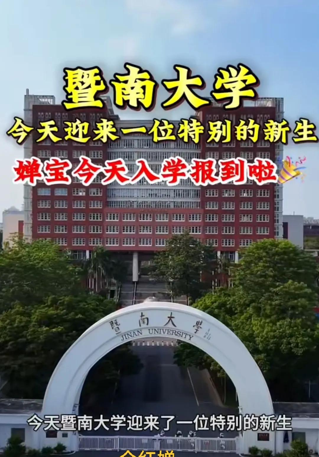 今日暨南大学新生入学报到，
不少同学表示，“怎么没有看到全红婵啊？”
“她是不是