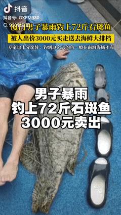 赚大发了！福建厦门，一男子暴雨中在河边钓鱼，没多久，就感到有鱼咬钩了，且力度还非