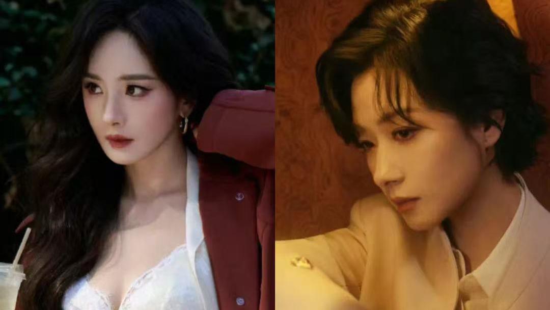 娱乐圈热点事件总汇