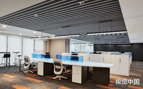 同事贪污福利钱害我被网暴致死，重生后我让她家破人亡