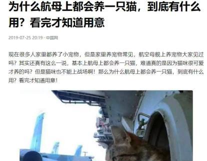 航母上为什么要养猫？是为了抓老鼠？那你就错了，现在航母上的猫可不是为了抓老鼠，而