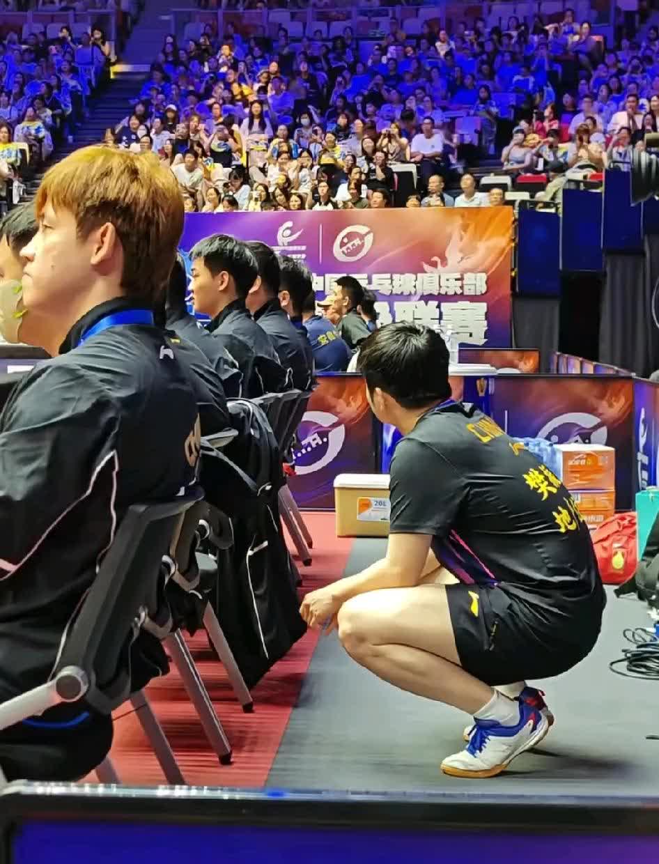 樊振东这次凤凰卫视独家采访其实概括起来就说了一句话，粉丝饭圈滚远点。老子讨厌你们