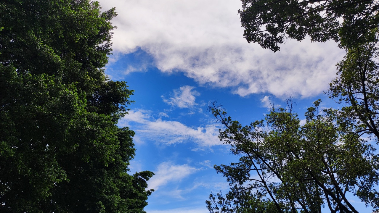 2025年8月，我的每一天都在悄悄改变