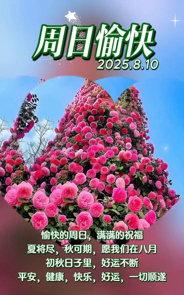 周日愉快。
2025.8.10。愉快的周日，满满的祝福。夏将尽，秋可期，愿我们在