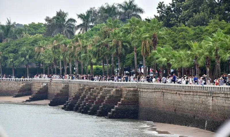 郑成功在外打仗，
得知自己儿子郑经和35岁的乳母，
生下孙子郑克臧，
郑成功知道