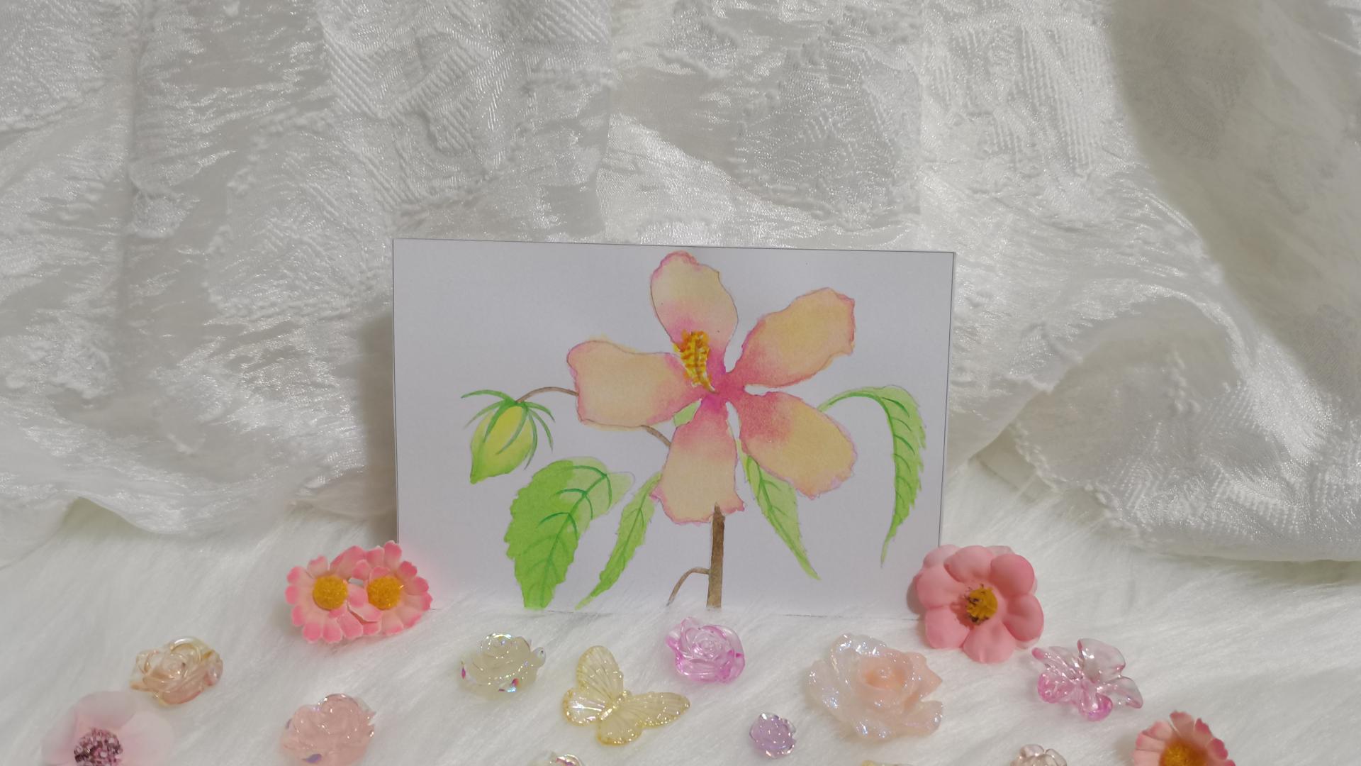 21 芙蓉（绘画 水彩 果花甘06）