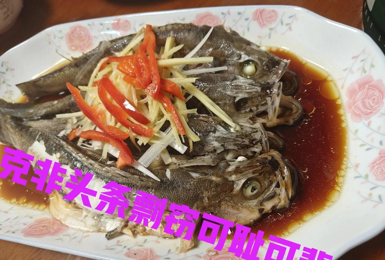 与主人10年没有见面了，三天前久别重逢，已知道主人又要了一个二胎。
三天前去的时