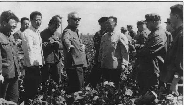 1978年8月，时任中共中央副主席、国务院副总理的李先念视察黑龙江垦区的老照片。