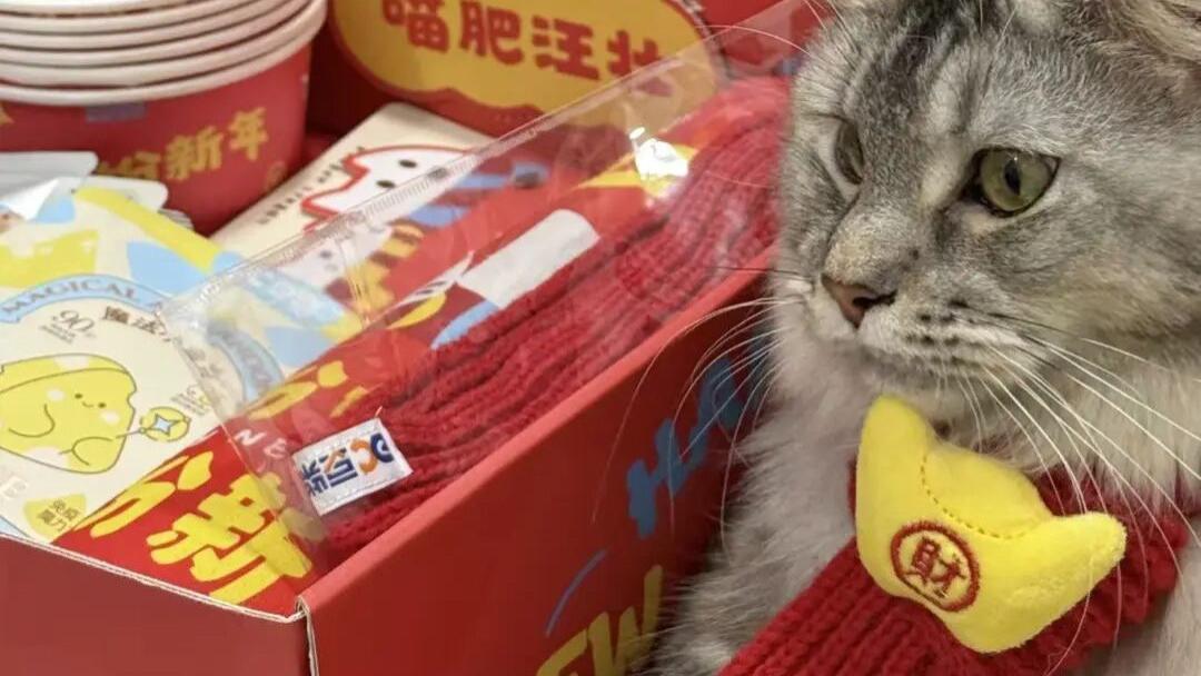 不谈促销只送温暖：拆解宠物品牌CNY营销范例