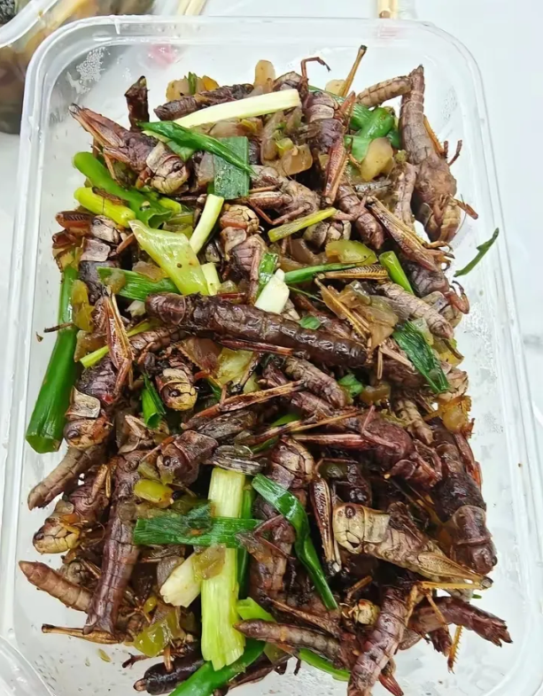 求科普这是哪个地域的美食？名字是啥，看着就好吃
