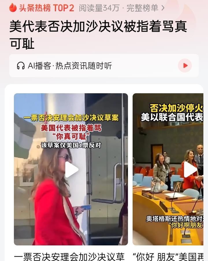 无论是谁举手，她们都是一个傀儡而已，替以色列举起手来，否决加沙停火协议。
这不代