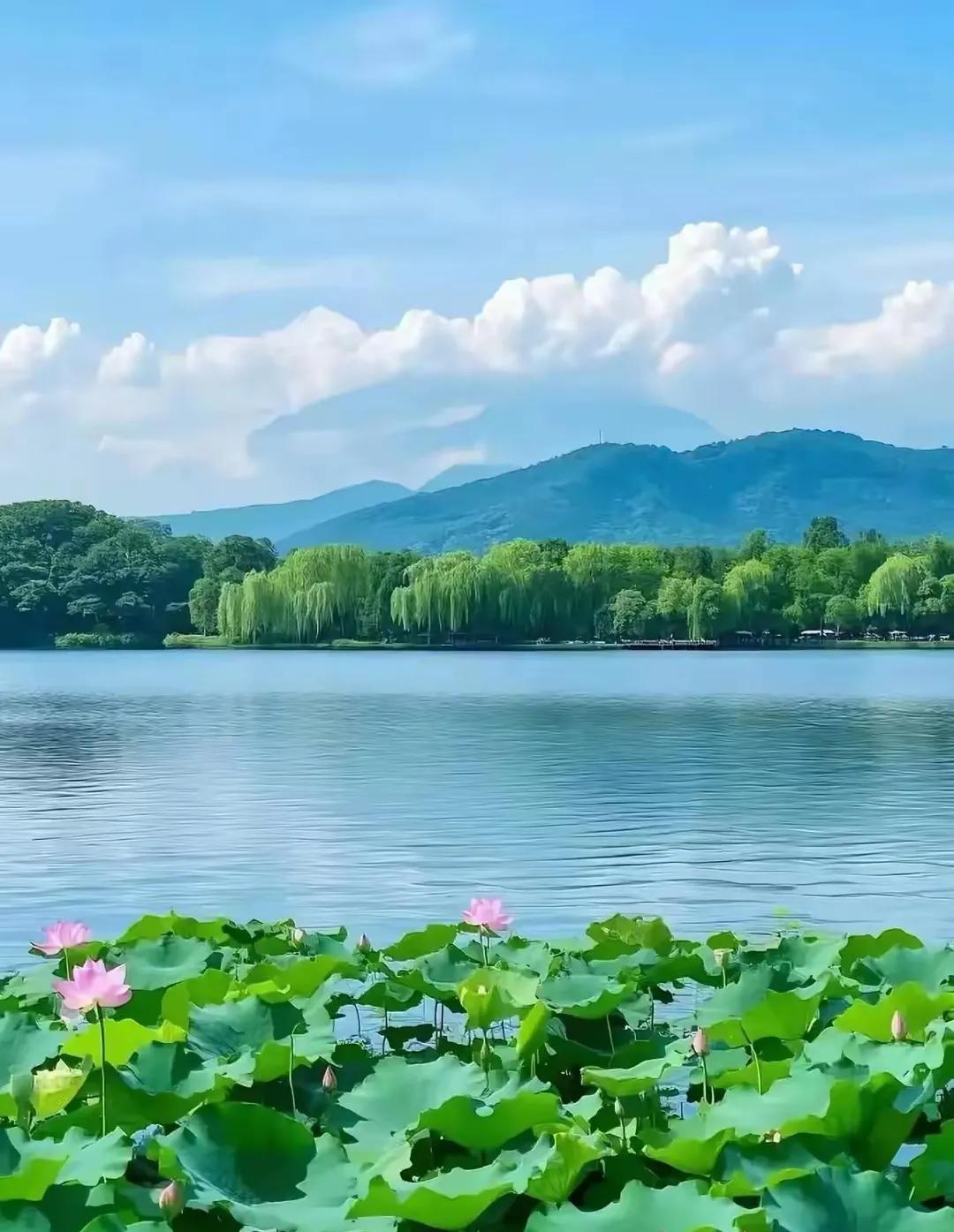 《七月账单》  
时光刷卡不找零，  
岁月扫码付深情。  
刚按下青春确认键，