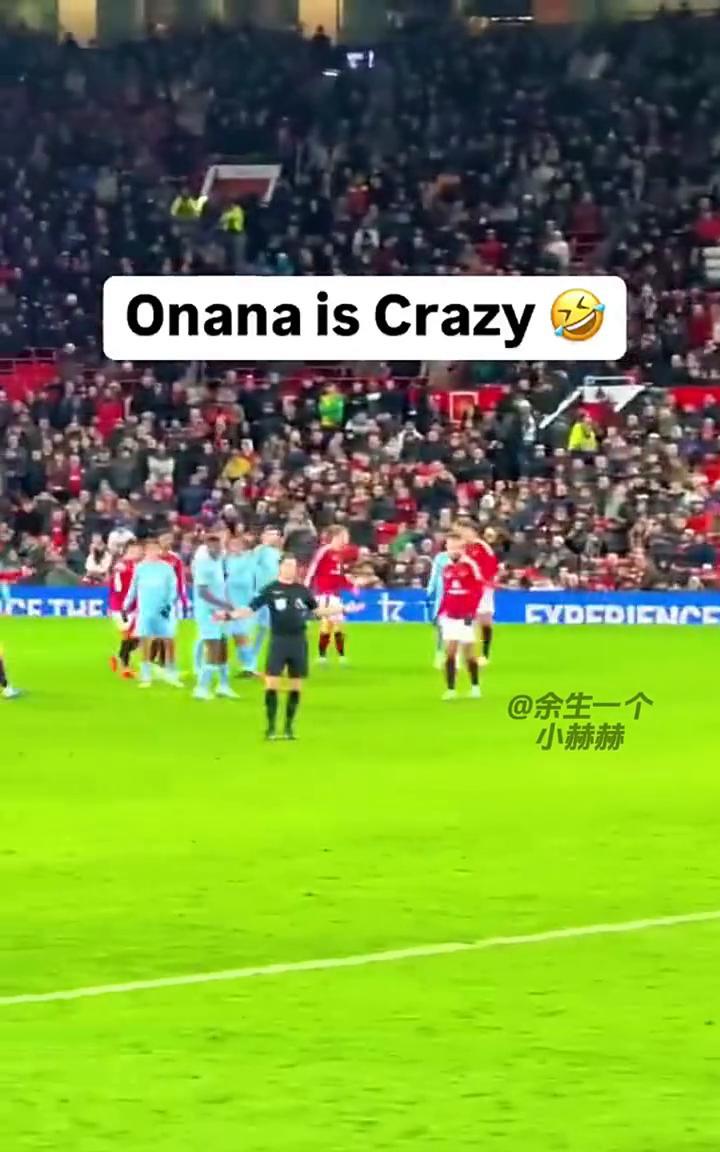 谁能说下奥纳纳脑子里到底装的是什么？在线等，挺急的！