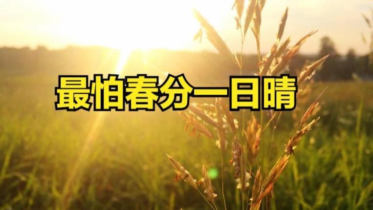 今日春分，老人说“最怕春分一日晴”，何意？春分天晴有何预兆？