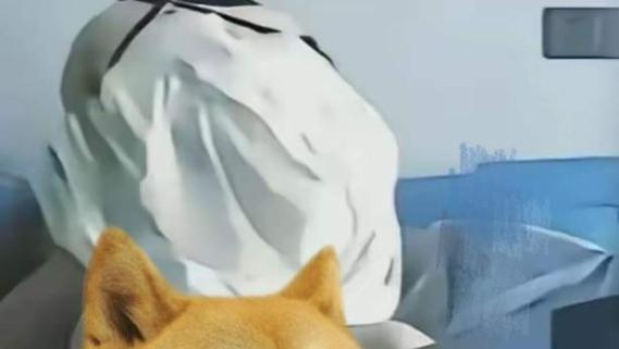 这波操作我服了！自己拍视频当 “铁证”，反把自己锤得明明白白