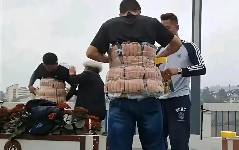 越南海关奇事：男子走私火腿肠被抓！











啥玩意？走私火腿肠？你