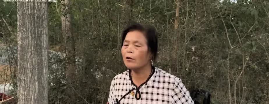 雨露520 领证受阻，阿杜母亲行为引众愤
雨露计划着在 520 这一天和灵阳领
