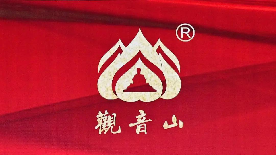 名家评论：第六届“观音山论剑”李星潭主编  谈东莞观音山法治困境