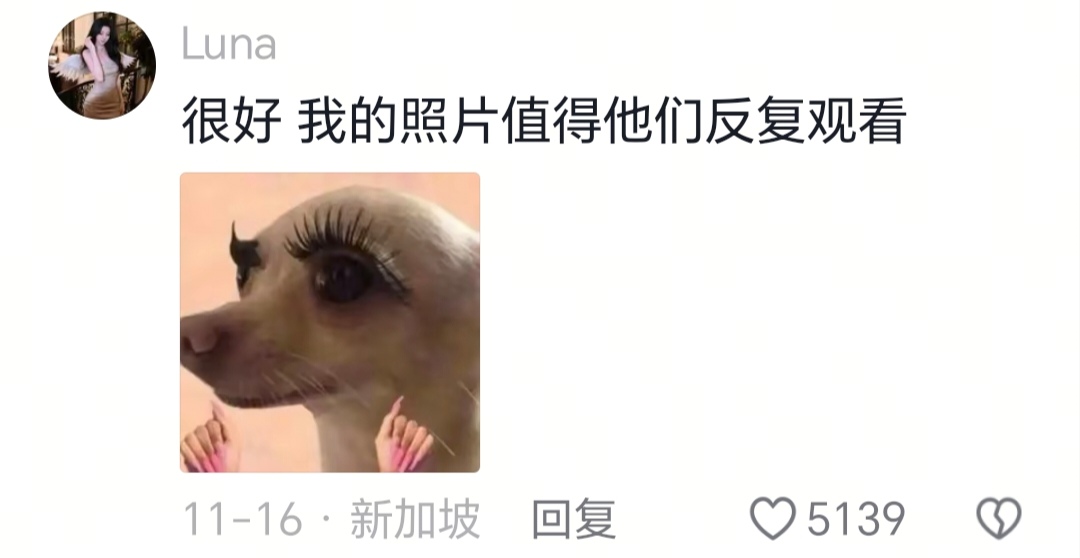 值得他们反复观看