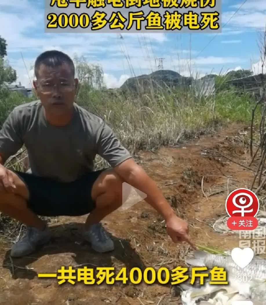 这是血与泪的教训！

桂林，男子在高压线下钓鱼，甩杆的时候触碰高压线，高压线