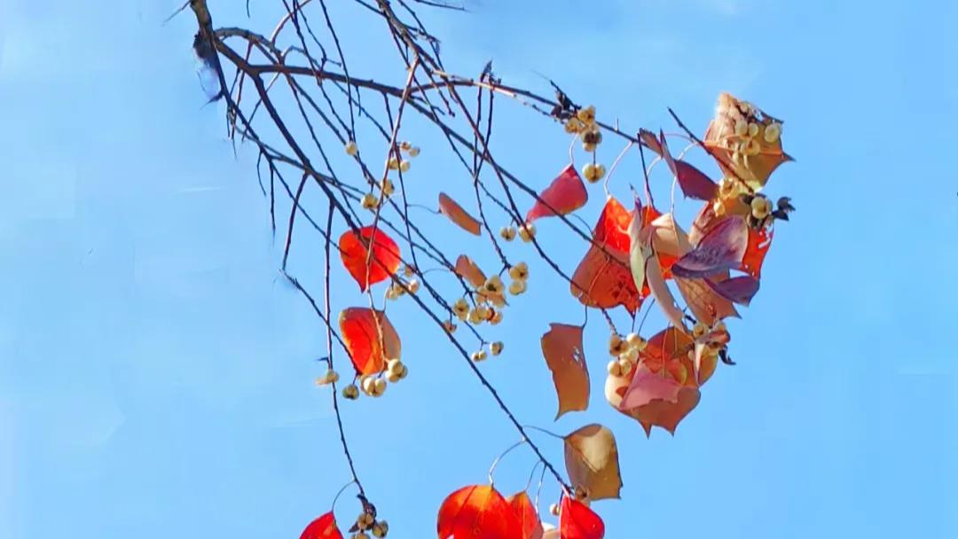 随笔：也日常，也丰沛，也琐碎，也快乐