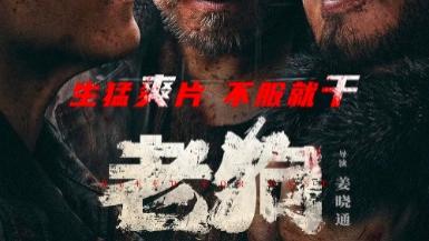 《老狗2025》电影在线观看高清免费完整版-剧情片-