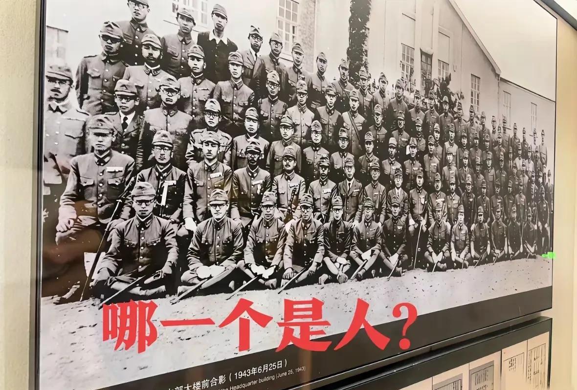 电影《731》如果不能在国内上映，那就太可悲了。宣传片才放了几十秒，一堆自称“家