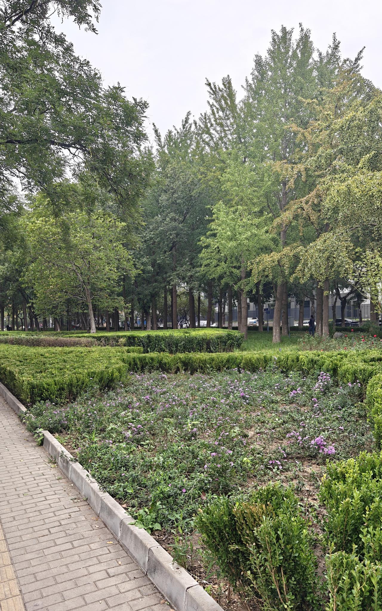又胖又丑脾气又大，岁数也大了，还成天梦想着找个富二代。
当富二代都是傻子吗？人家
