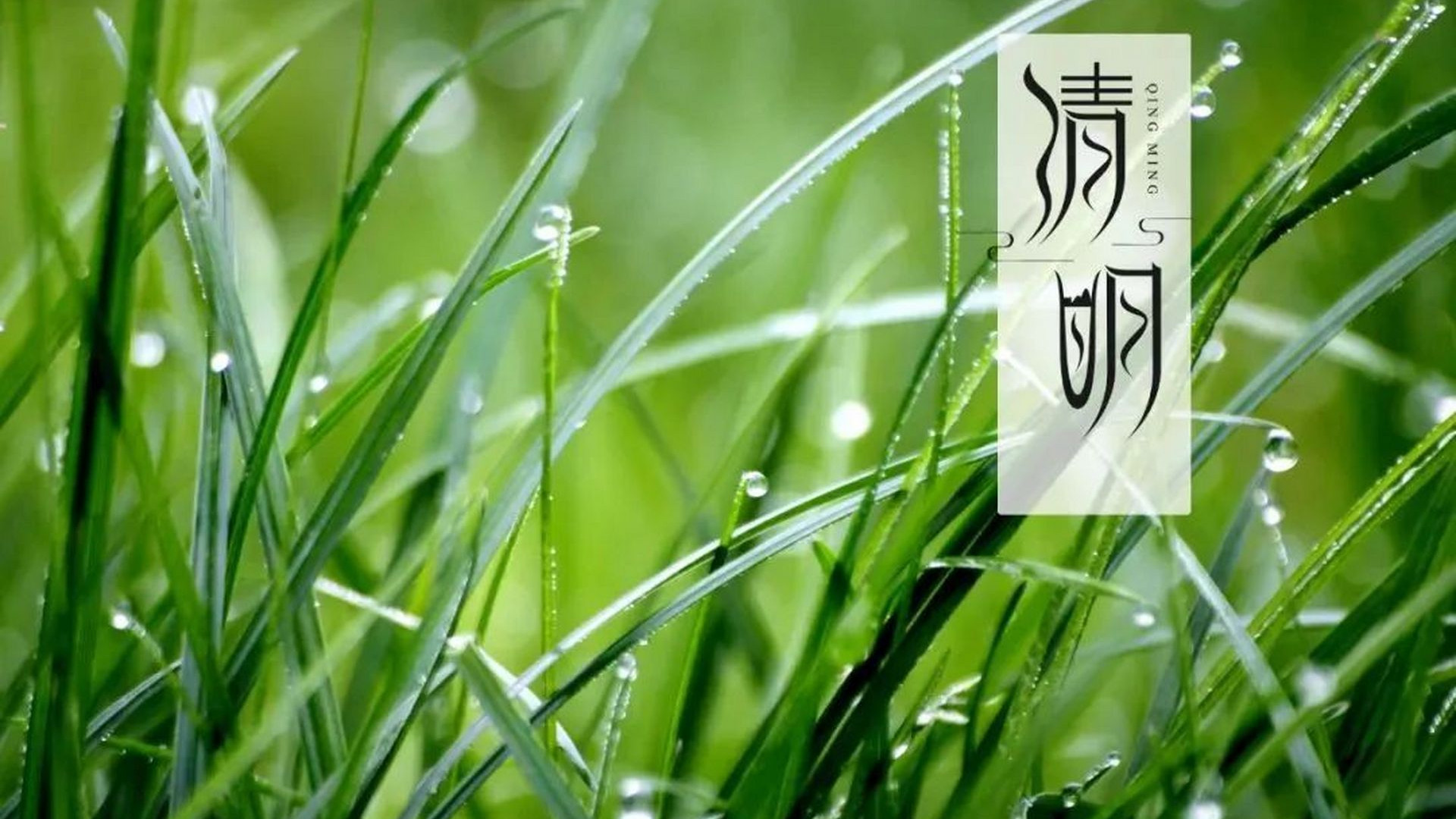 原创|“上坟不带两人，子孙辈辈富有”，清明节将至，牢记老祖宗的话！