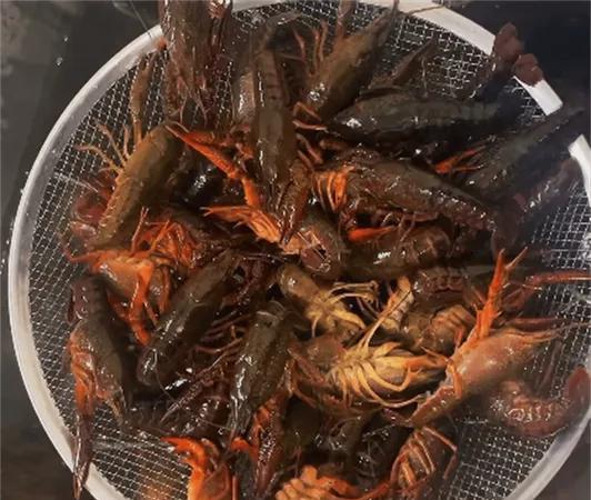 自带抗日属性的动物系列大家知道吗？还有我们经常爱吃的麻辣小龙虾，到了日本竟也变得
