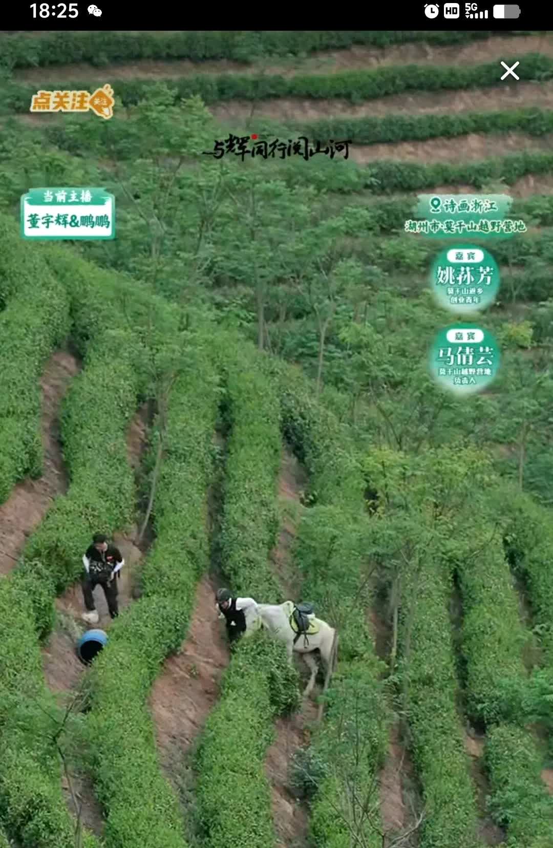 善良是与生俱来的，
某些人怎么学也学不来。
彪哥骑马的时候，
看到一个很陡