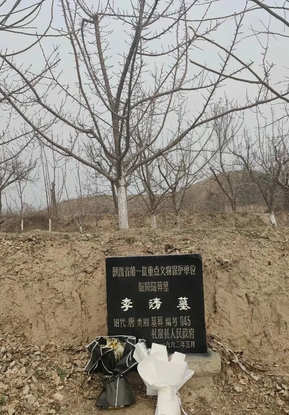 陕西，一名男子在爬山的时候，意外在路边发现了一个黑色的牌子，牌子前还放了两束花，